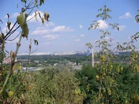 Resize of P1050678.JPG