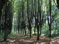 DSC01151_2.webp