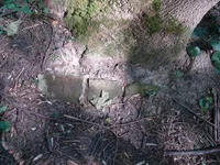 DSC02751_2.webp