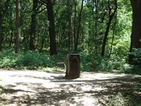 DSC02789_2.webp