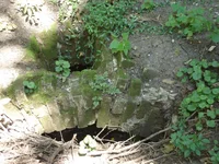 DSC02795_2.webp
