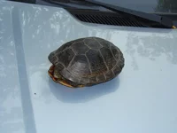 DSC01302_2.webp