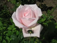 x_bec599dd.webp