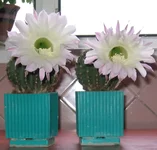 test2.webp