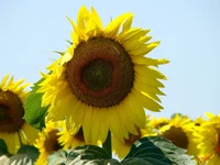 DSC01922.webp