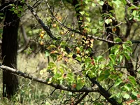 DSC01932.webp