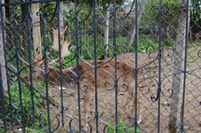 DSC_1811_2.webp