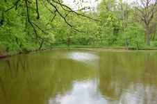 DSC_1842_2.webp
