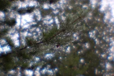 3 images, DSC_8573 - DSC_8575 - 2873x1917 - SCUL-Smartblend.webp