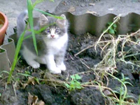 04082008653.jpg
