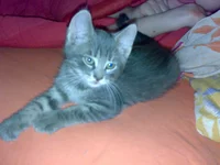11082008691.jpg