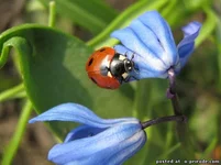 06.webp