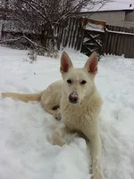 024F2262.webp