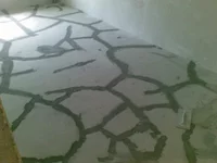 02032013(001).webp