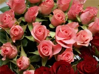 48cb7fcce023.webp