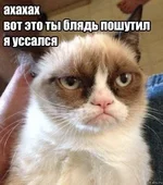 3472808.webp