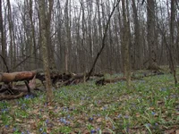 IMG_9231.jpg