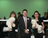  экспертом 2.webp