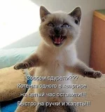  один дома.webp