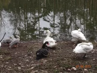 DSC02734s.webp