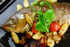 carp_01_8.webp