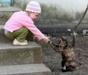 Kote.webp