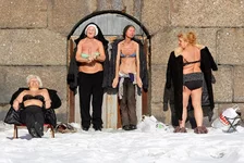 2560550_original.webp