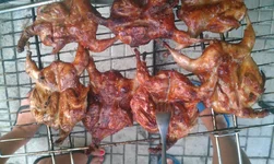 IMAG0037.webp