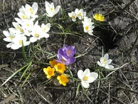 2013-04-11 14.16.21.webp