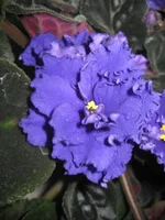 IMG_1544.webp