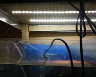-0338.webp
