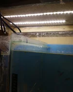 -0339.webp