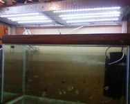 -0341.webp