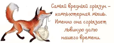 getImageфывапрол.jpeg