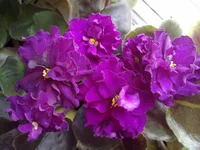 130420132474.webp