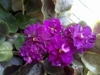 130420132475.webp