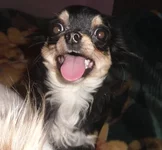 SAM_8315.webp