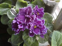 130420132478.webp