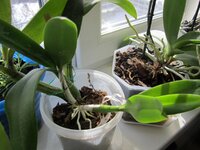 IMG_2787.jpg