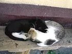 DSC00332.jpg