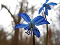 IMG_1587.webp