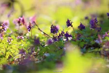 IMG_4914.webp