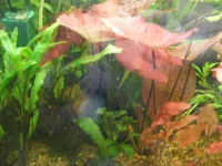 002.webp