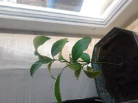 2013-04-19 10.41.32.jpg