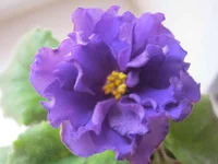136645279856893446.webp