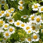 6c970f01653f.webp
