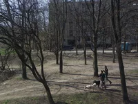 IMGP4754.webp
