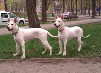 IMAG0141.webp