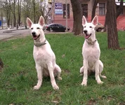 IMAG0139.webp
