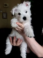 2013-04-21_2.webp